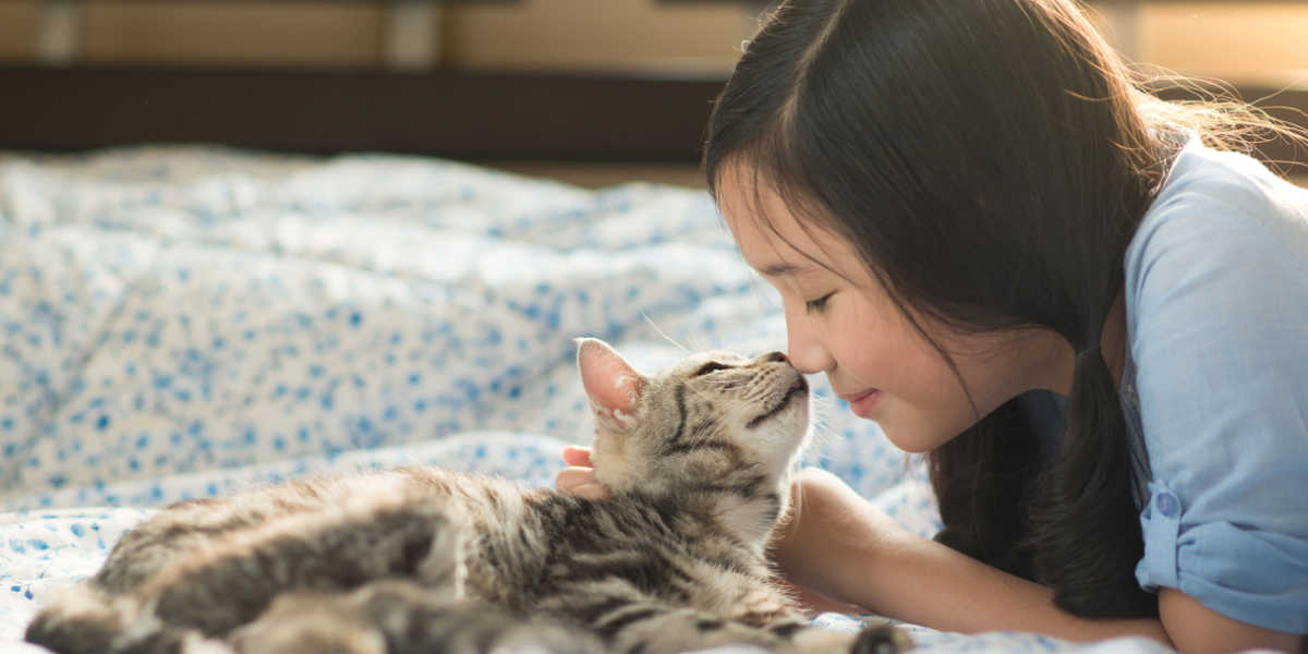 Cat licking and sniffing face