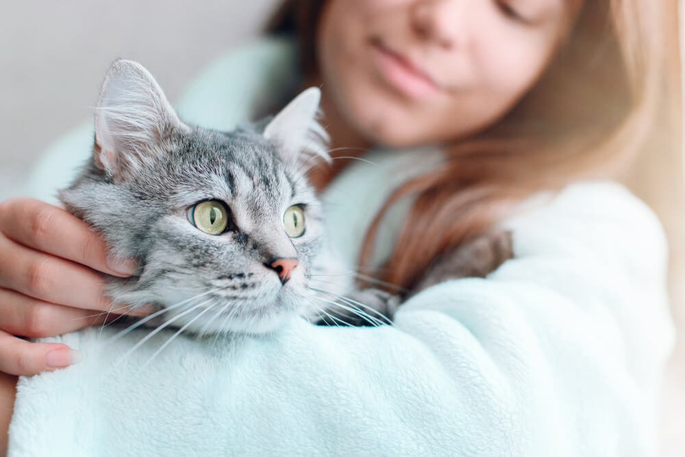 woman at home holding and hug her lovely fluffy cat