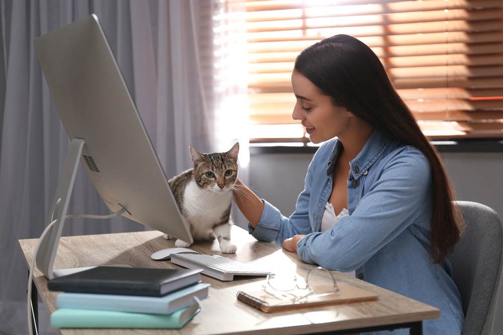 Young woman stroking cat at table