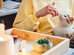 a cat sitting near a table with burning candles, emphasizing the potential fire hazard and the need for caution.