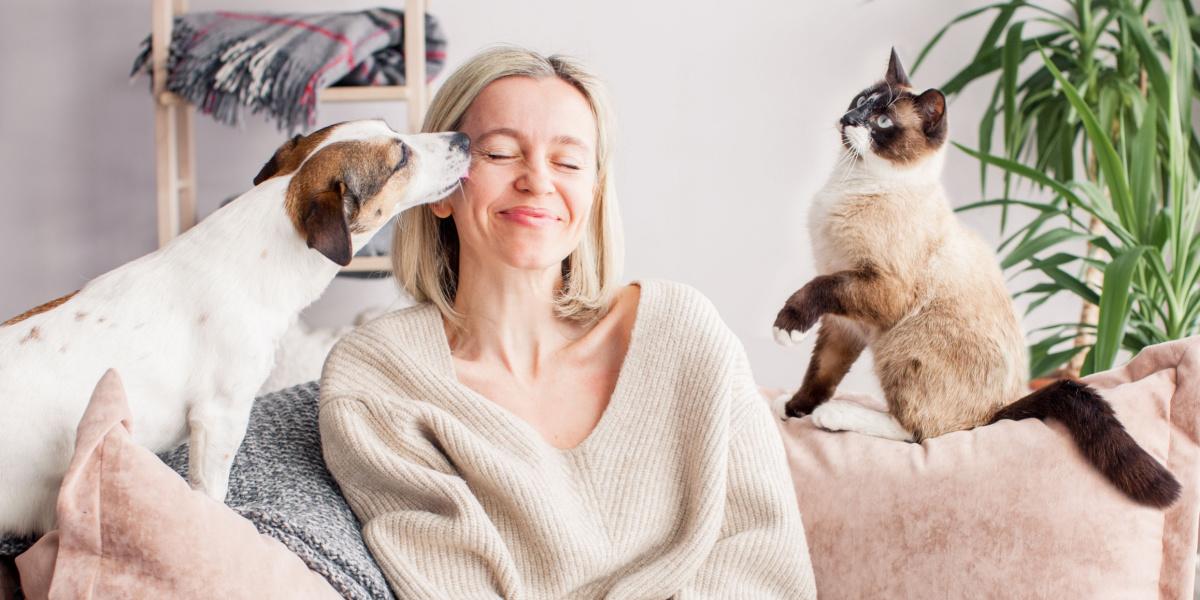 woman is resting on the couch with a dog and a cat