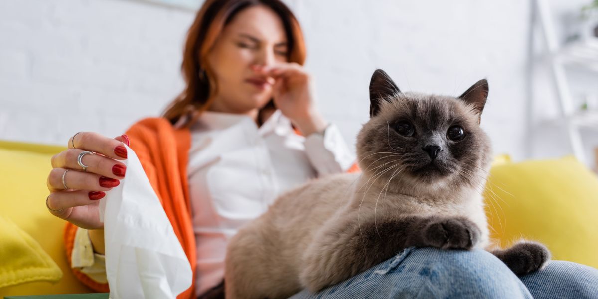 Cat near a woman sneezing