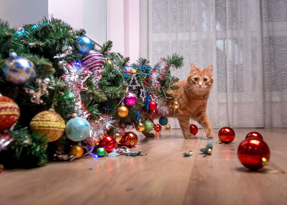 Fault of the pet cat - fallen Christmas tree