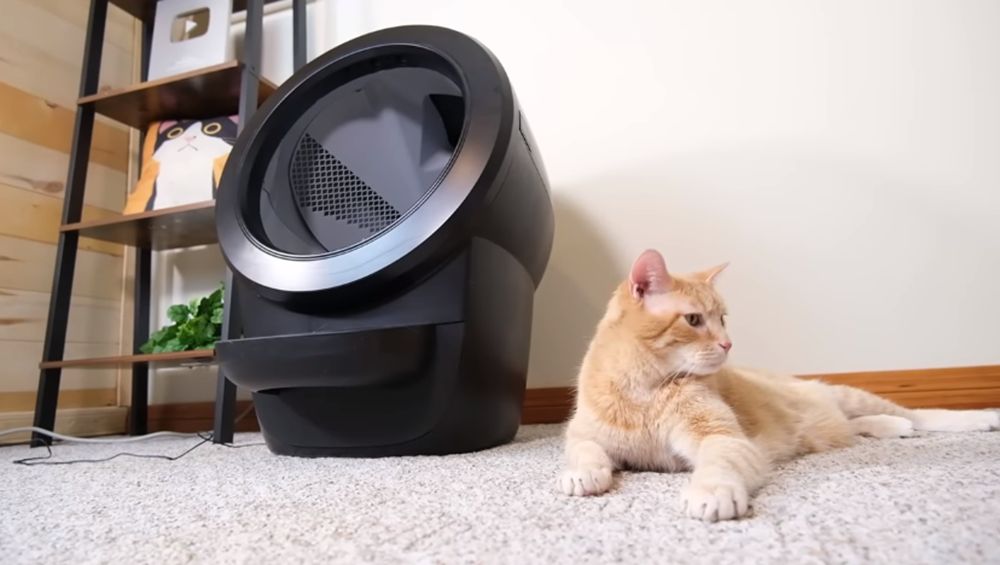 Litter Robot and orange cat