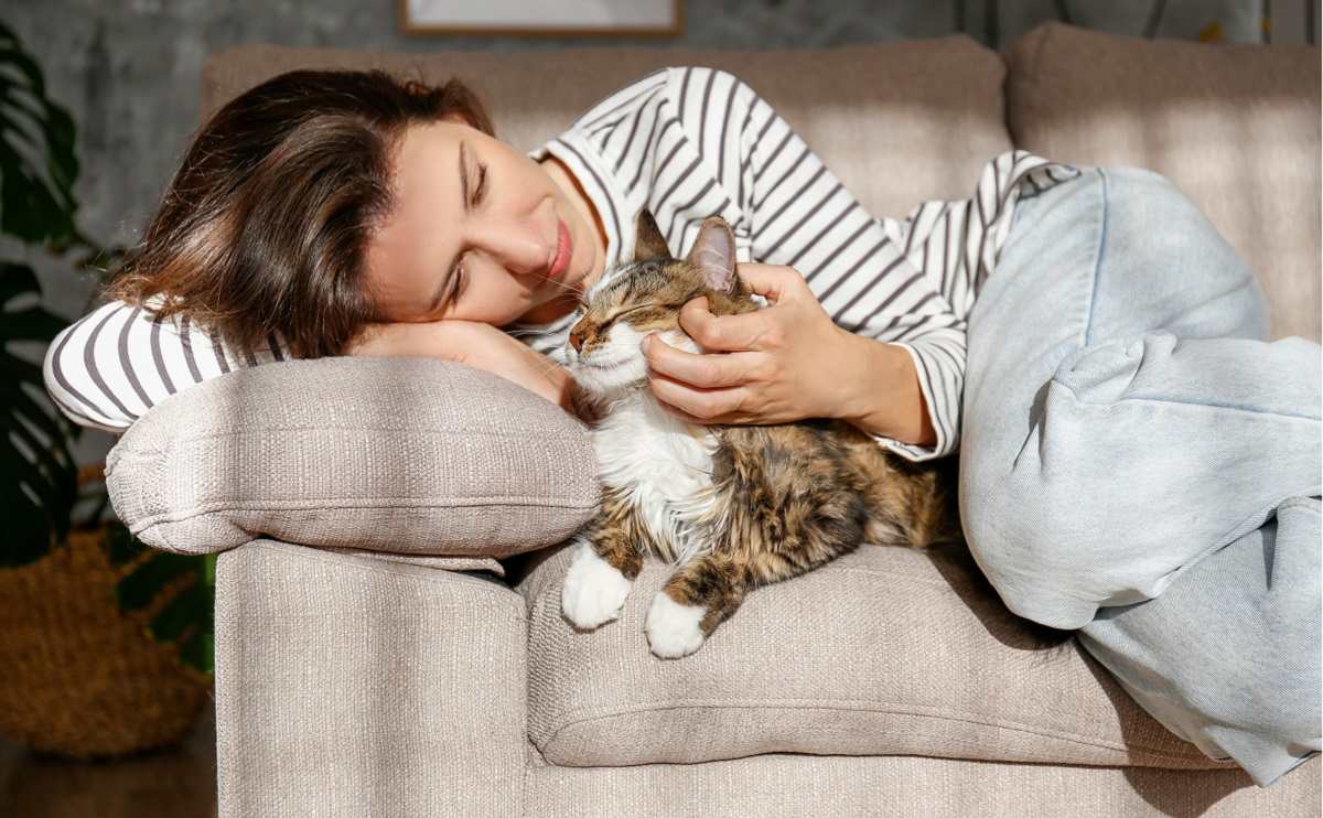 Portrait of young woman holding cute Siberian cat with green eyes