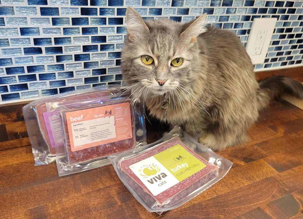 Keep cat food fresh: Packages of frozen, fresh, raw cat food.