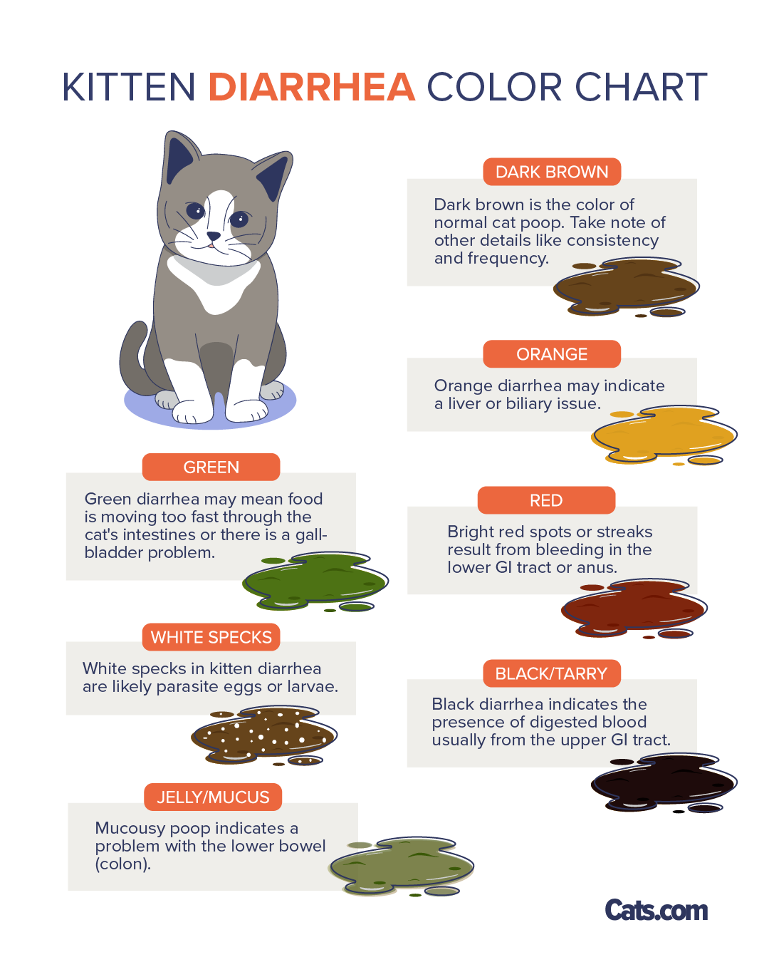 An illustrative chart detailing which diarrhea color may indicate certain diseases or conditions.