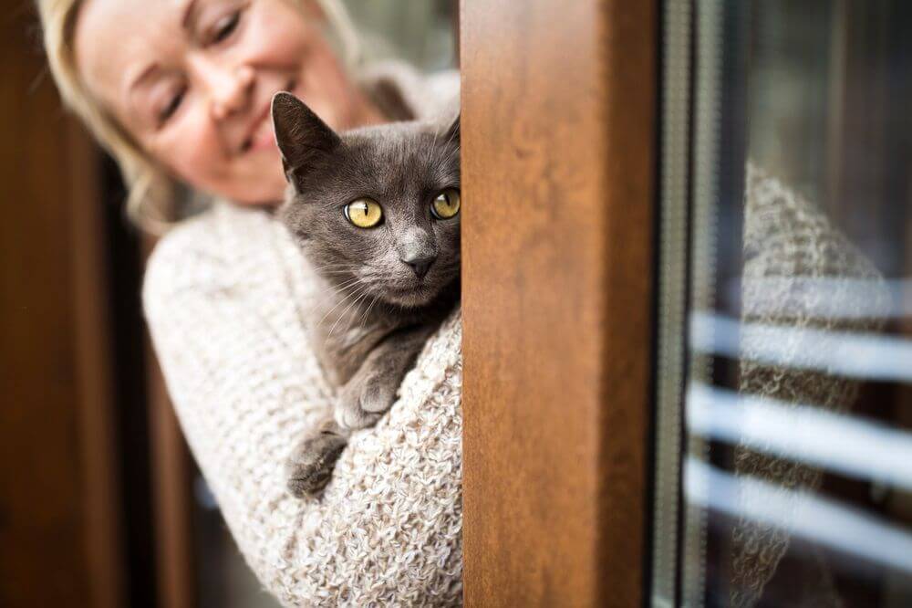 Mature woman holding fluffy cat