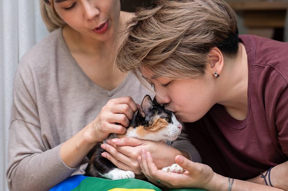 couple cuddling cat